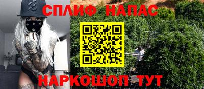шишки Азнакаево