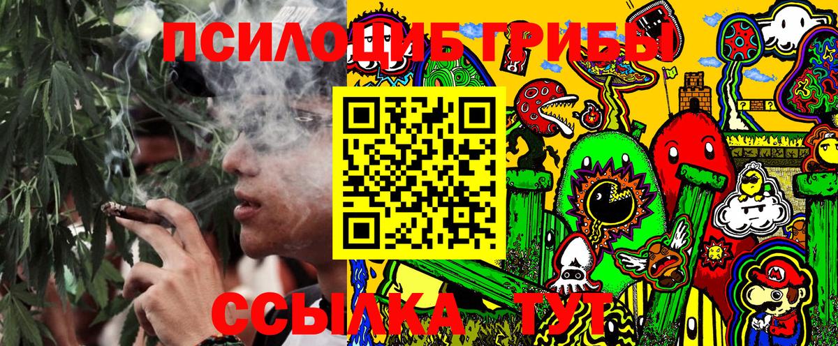 Галлюциногенные грибы Cubensis Алатырь