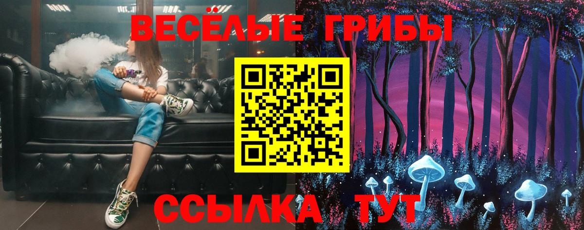Алатырь  Галлюциногенные грибы MAGIC MUSHROOMS  купить наркоту  Вход с VPN 